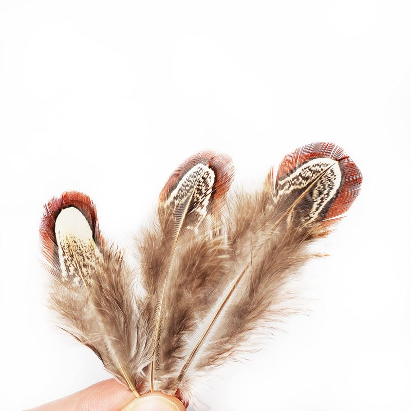 HAPPY FEATHER 100 pcs Natural Pheasant Plumage Feathers 2-3 Inches Plumage Feathers for Sewing Crafts Clothing Decorating Accessories -Nature - Image 4